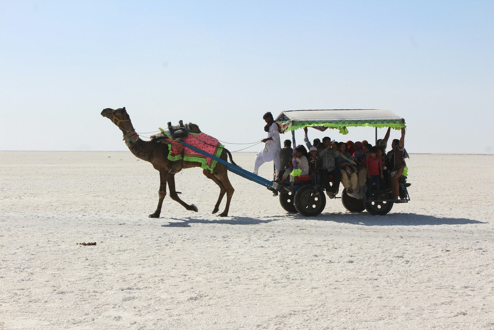 Kutch Camel Cart